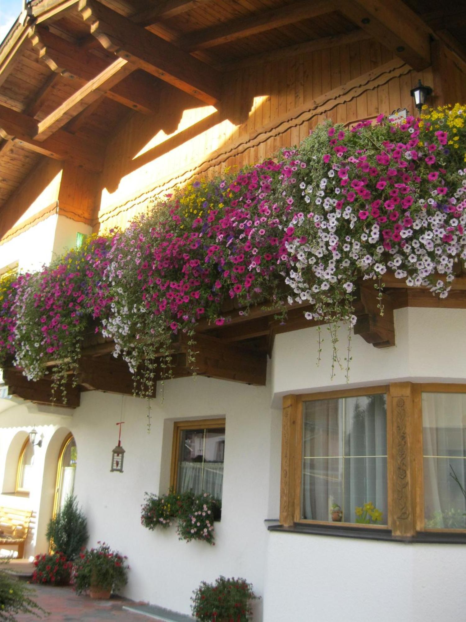 Haus Reiterer Apartment Neustift im Stubaital Exterior photo