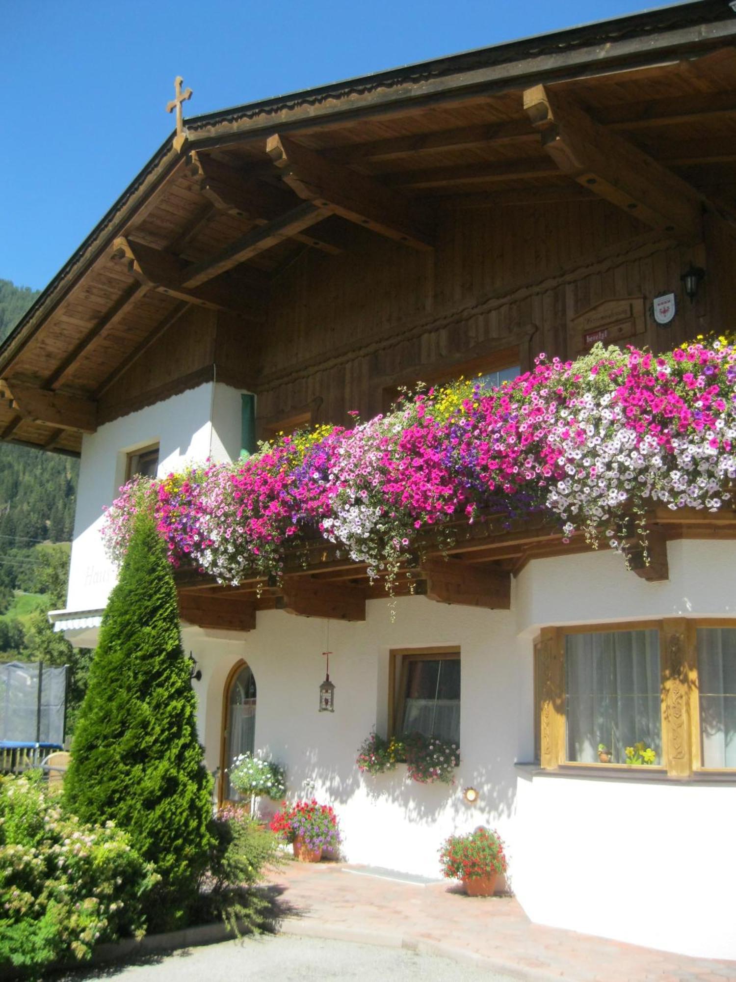 Haus Reiterer Apartment Neustift im Stubaital Exterior photo